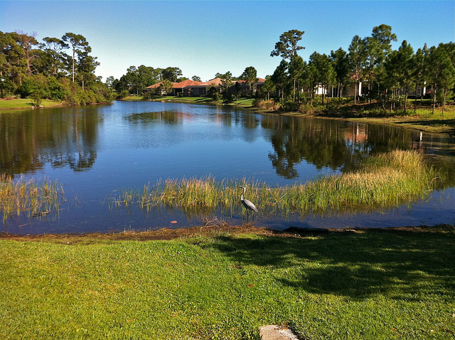 Picture of Port Saint Lucie, Florida, United States